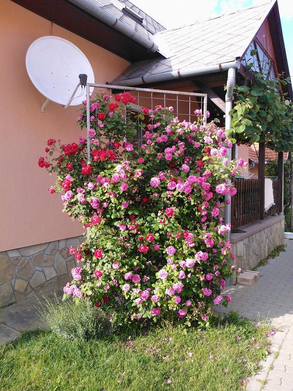 Valentin Vendeghaz Hotel Balatonlelle Buitenkant foto