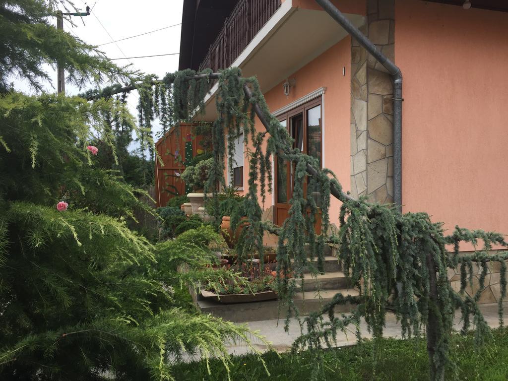 Valentin Vendeghaz Hotel Balatonlelle Buitenkant foto